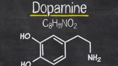 Dopamin Nedir? Dopamin Doğal Yollarla Nasıl Arttırılır?