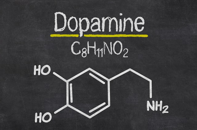 Dopamin Nedir? Dopamin Doğal Yollarla Nasıl Arttırılır?