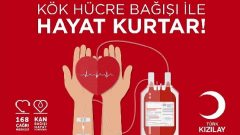 Kök Hücre Bağışı Hakkında Merak Edilen Her Şey