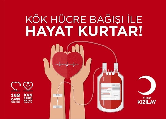 Kök Hücre Bağışı Hakkında Merak Edilen Her Şey