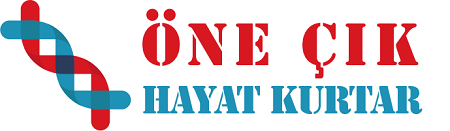 Kök Hücre Bağışı Hakkında Merak Edilen Her Şey kök hücre öne çıkar