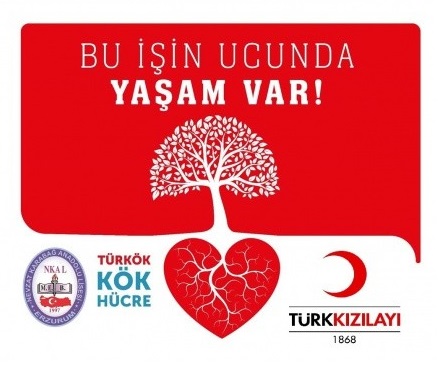 Kök Hücre Bağışı Hakkında Merak Edilen Her Şey türkök kök hücre
