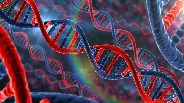 DNA Nedir? Yapısı, Görevleri ve Özellikleri Nelerdir?