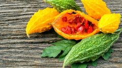 Kudret Narı Nedir? Kudret Narının Faydaları Nelerdir?