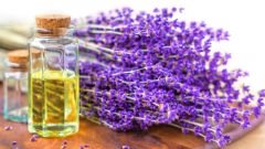 Lavanta Yağı Nedir? Lavanta Yağı’nın Faydaları Nelerdir?